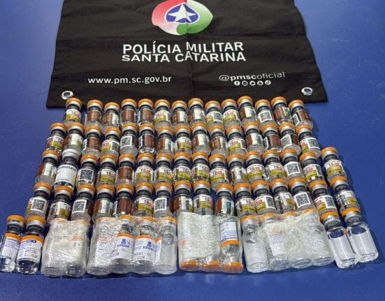 Produtos ilegais foram apreendidos e encaminhados à Receita Federal - Foto PMRv