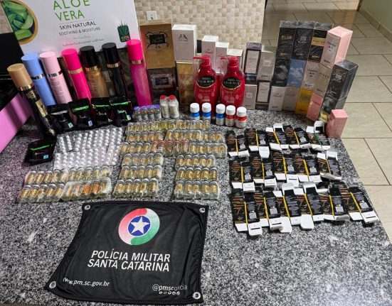 Produtos apreendidos com mulher em ônibus abordado em Bom Jesus - Foto PMRv