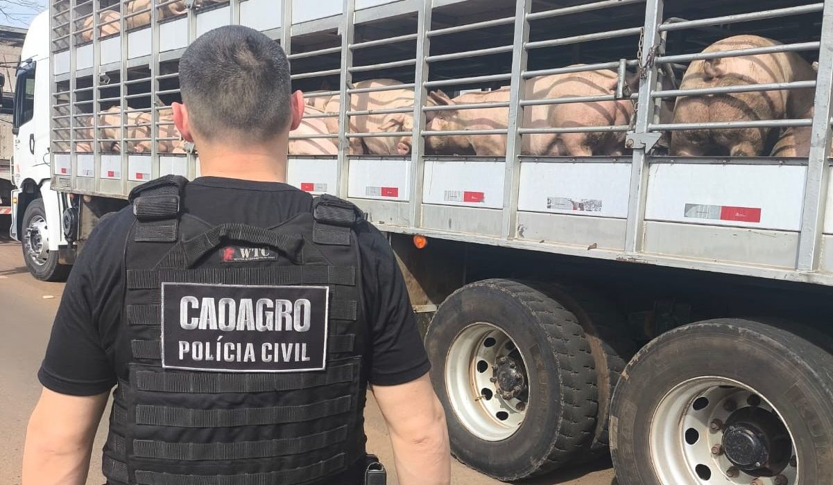 Fiscalização do Caoagro, Cidasc e Polícia Civil em Palmitos e São Carlos - Fotos Polícia Civil