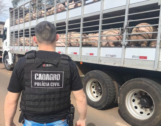 Fiscalização do Caoagro, Cidasc e Polícia Civil em Palmitos e São Carlos - Fotos Polícia Civil