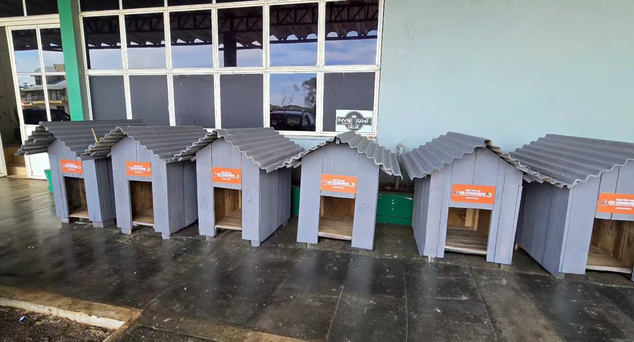 O Programa Lar Solidário vai oferecer abrigos para cães e gatos em situação de vulnerabilidade - Fotos Prefeitura de São domingos