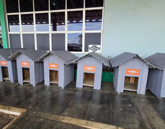 O Programa Lar Solidário vai oferecer abrigos para cães e gatos em situação de vulnerabilidade - Fotos Prefeitura de São domingos