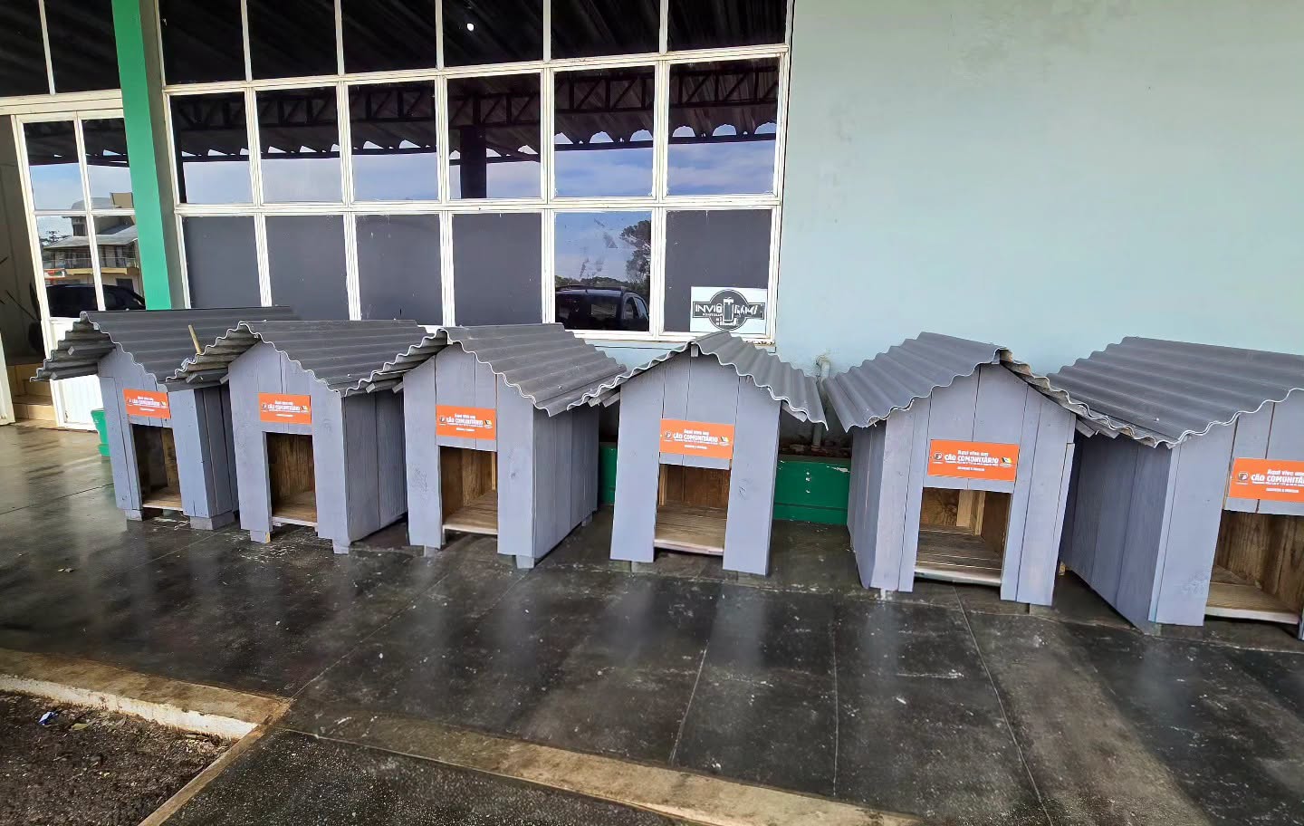 O Programa Lar Solidário vai oferecer abrigos para cães e gatos em situação de vulnerabilidade - Fotos Prefeitura de São domingos