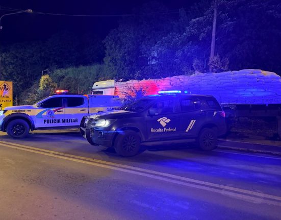 Vinhos e azeites contrabandeados são apreendidos em Abelardo Luz