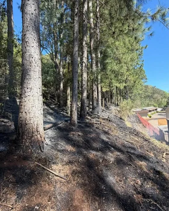 Bombeiros construíram cerca de 270 metros de aceiro para conter incêndio em área de reflorestamento na Linha Bela Vista. - Foto Reprodução CBM