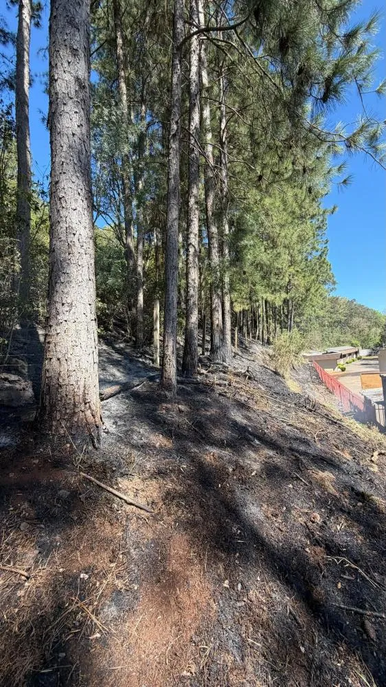 Bombeiros construíram cerca de 270 metros de aceiro para conter incêndio em área de reflorestamento na Linha Bela Vista. - Foto Reprodução CBM