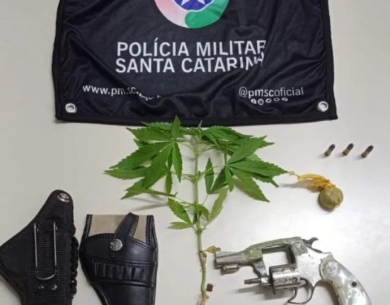 Revólver calibre .22 foi localizado com apoio de cães da Polícia Civil - Foto Divulgação PMSC