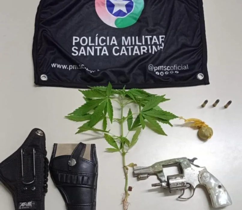 Revólver calibre .22 foi localizado com apoio de cães da Polícia Civil - Foto Divulgação PMSC