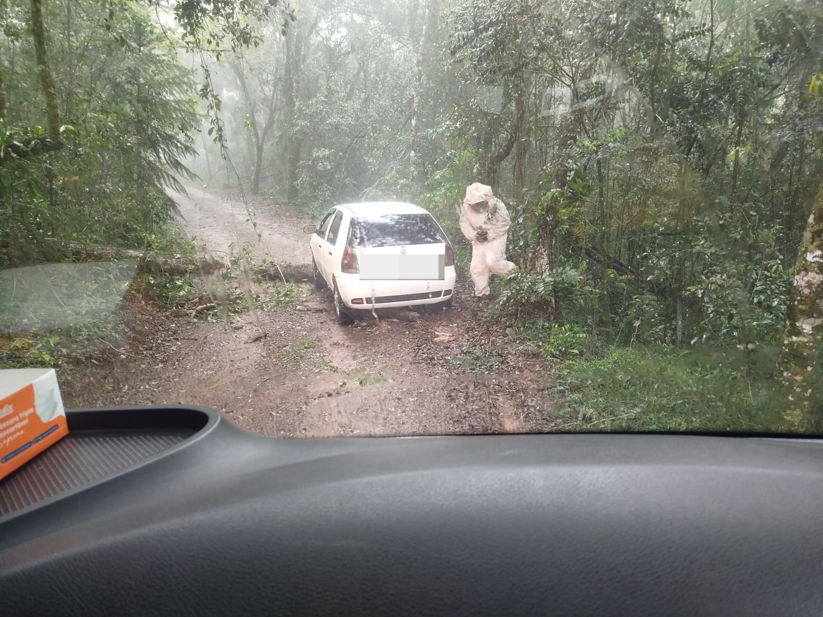 Abelhas atacam ocupante após carro ficar preso em tronco em Vitorino