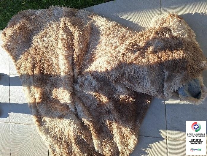 Homem é preso após furto de tapete em Xanxerê