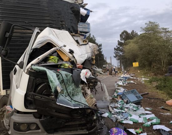 Motorista morre em colisão entre caminhões na BR-282