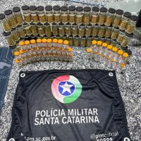 Passageiro é detido com dezenas de ampolas e frascos de anabolizantes em ônibus em Bom Jesus