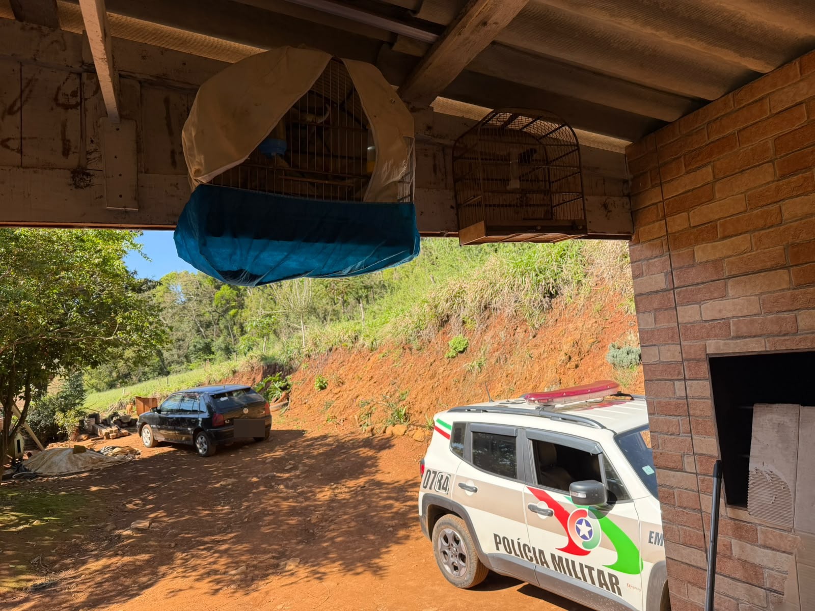 Polícia apreende aves silvestres em propriedade no interior de São Domingos
