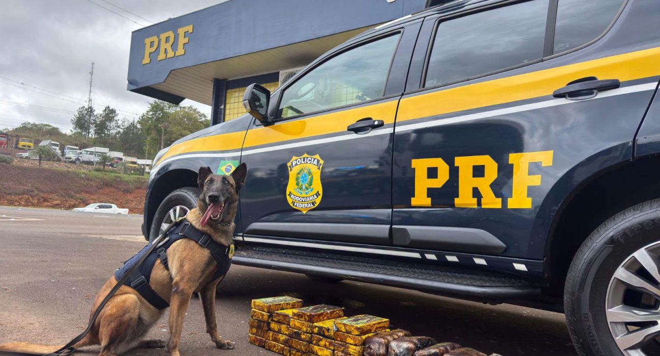 PRF apreende 35 kg de cocaína e haxixe escondidos em carreta - Fotos Divulgação PRF