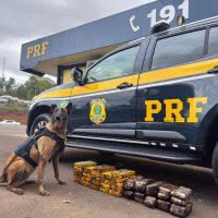 PRF apreende 35 kg de cocaína e haxixe escondidos em carreta - Fotos Divulgação PRF