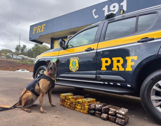 PRF apreende 35 kg de cocaína e haxixe escondidos em carreta - Fotos Divulgação PRF