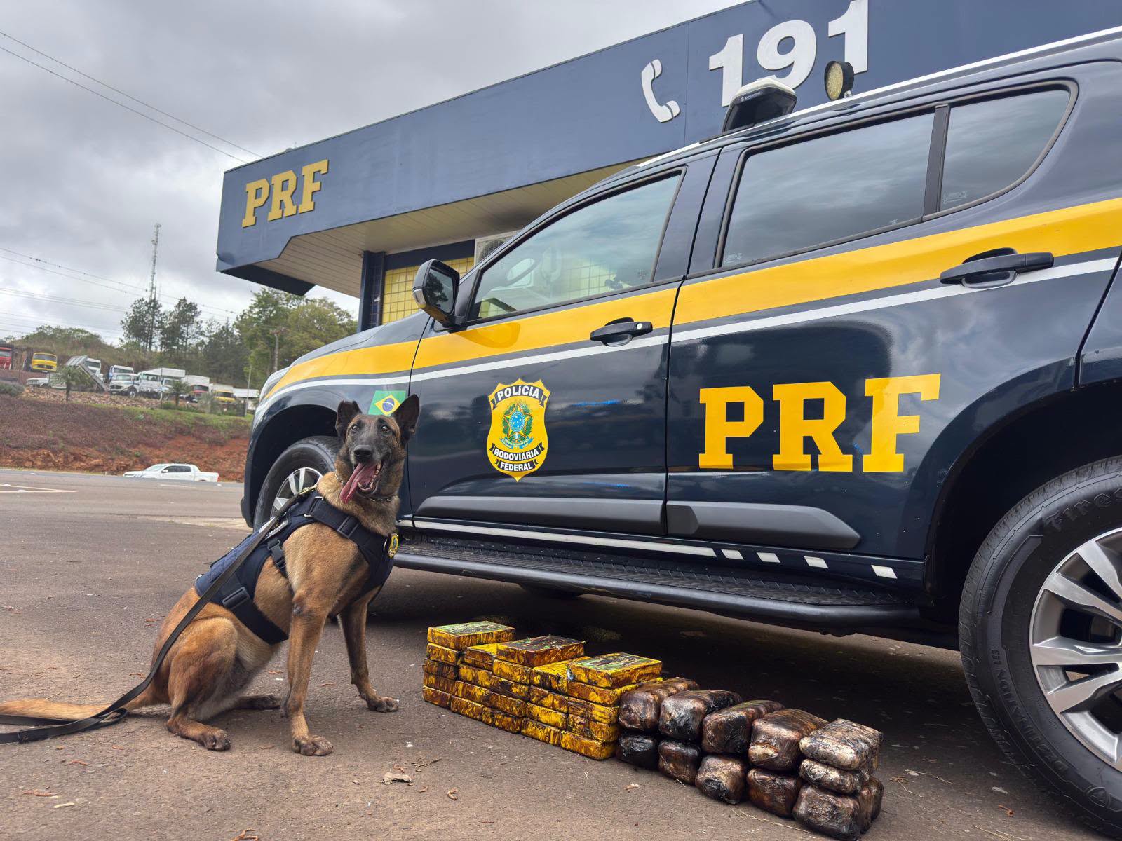 PRF apreende 35 kg de cocaína e haxixe escondidos em carreta - Fotos Divulgação PRF