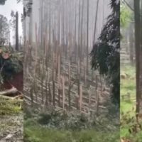 Paraná registra dois tornados em menos de 24 horas - Fotos Divulgação Rede Peperi