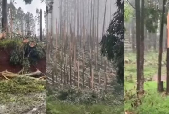 Paraná registra dois tornados em menos de 24 horas - Fotos Divulgação Rede Peperi