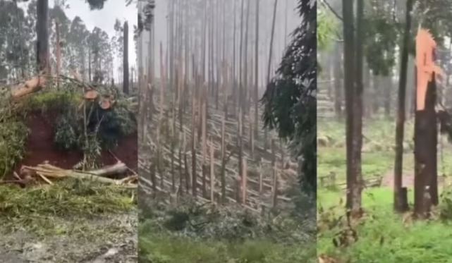 Paraná registra dois tornados em menos de 24 horas - Fotos Divulgação Rede Peperi