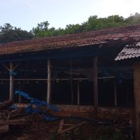 Incêndio atinge aviário no interior de Bom Jesus