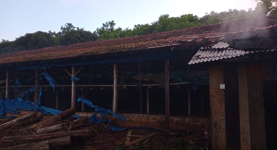 Incêndio atinge aviário no interior de Bom Jesus