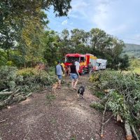 Tempestade derruba árvores e mobiliza bombeiros em Quilombo e Formosa do Sul