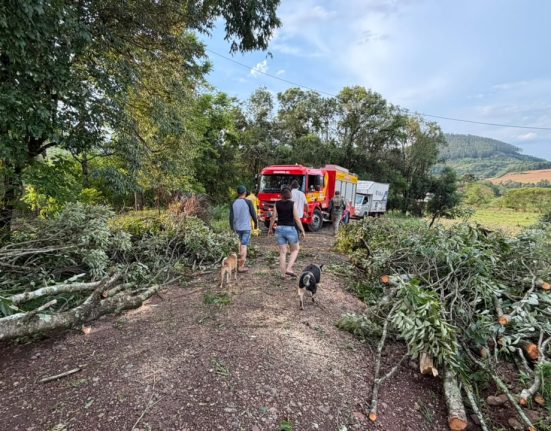 Tempestade derruba árvores e mobiliza bombeiros em Quilombo e Formosa do Sul