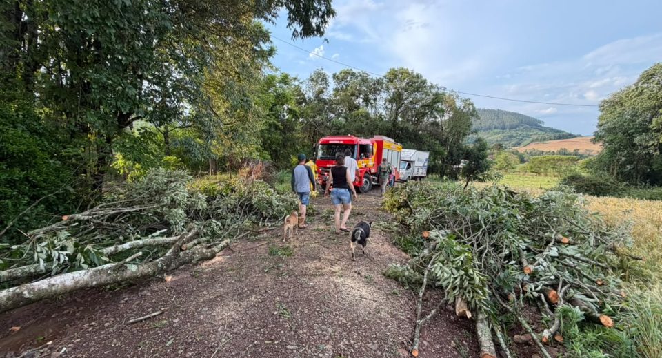 Tempestade derruba árvores e mobiliza bombeiros em Quilombo e Formosa do Sul