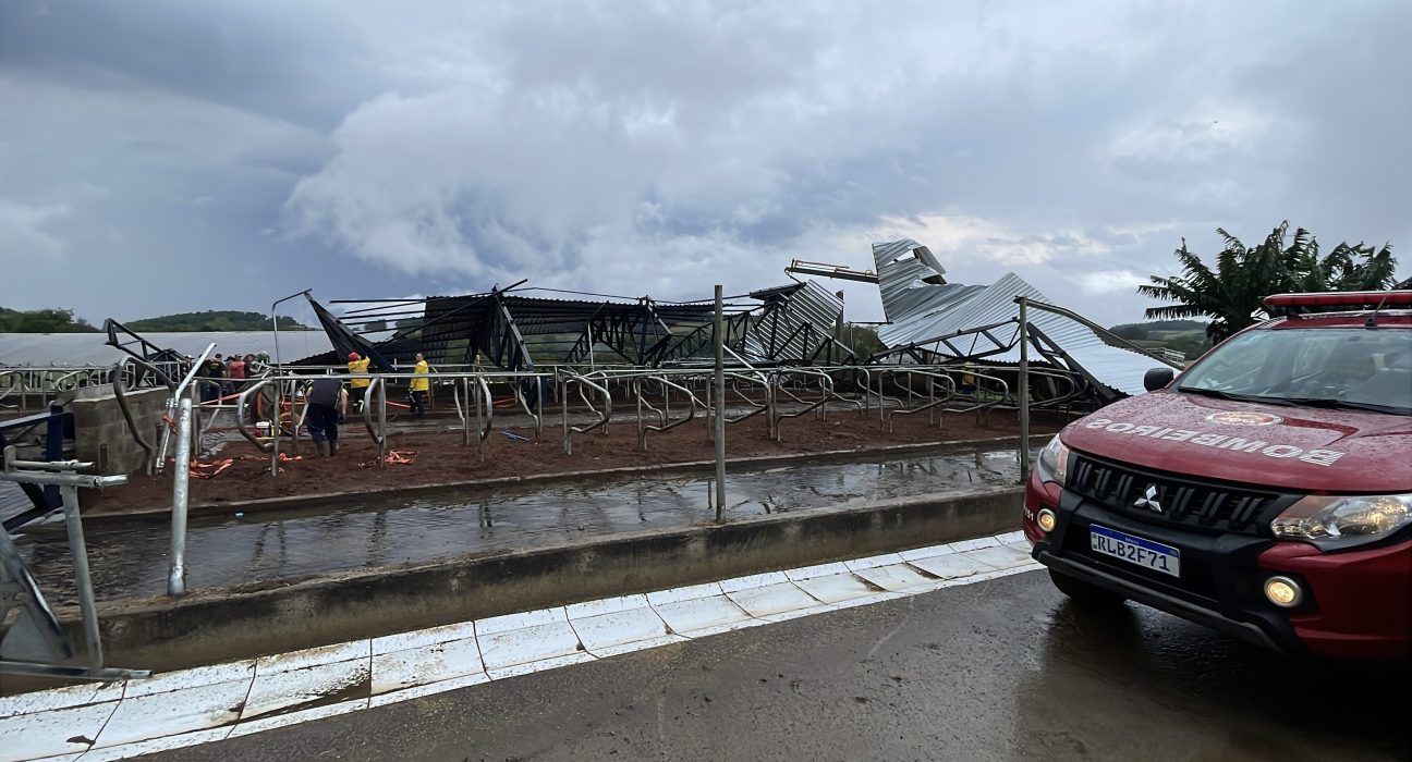 Vendaval arranca estrutura e deixa galpão de ordenha completamente destruído