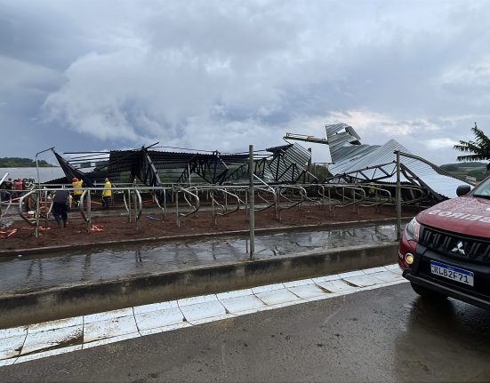Vendaval arranca estrutura e deixa galpão de ordenha completamente destruído