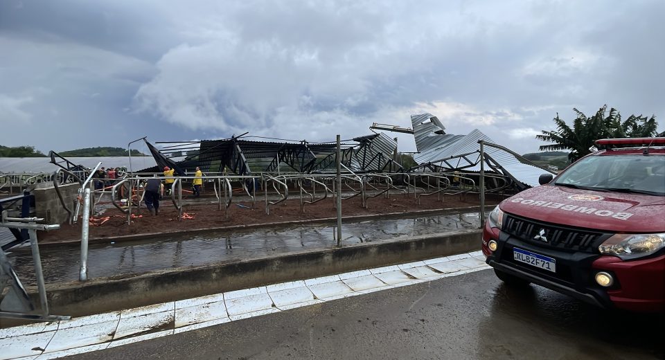 Vendaval arranca estrutura e deixa galpão de ordenha completamente destruído