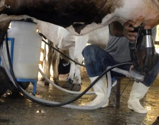 Santa Catarina ficou entre os cinco maiores produtores, com 3,4 bilhões de litros - Foto Marcello Casal Jr. Agência Brasil