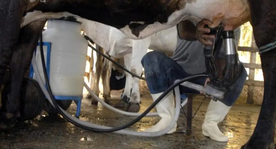 Santa Catarina ficou entre os cinco maiores produtores, com 3,4 bilhões de litros - Foto Marcello Casal Jr. Agência Brasil