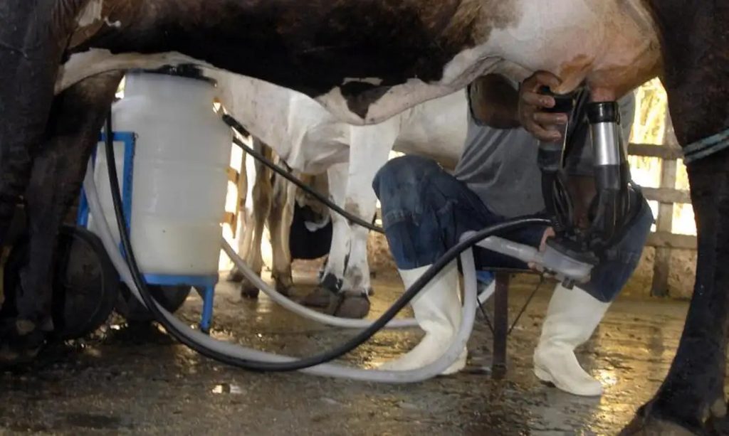 Santa Catarina ficou entre os cinco maiores produtores, com 3,4 bilhões de litros - Foto Marcello Casal Jr. Agência Brasil