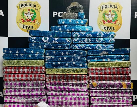 Droga foi localizada em dois imóveis, um homem de 20 anos foi preso em flagrante - Foto Polícia Civil