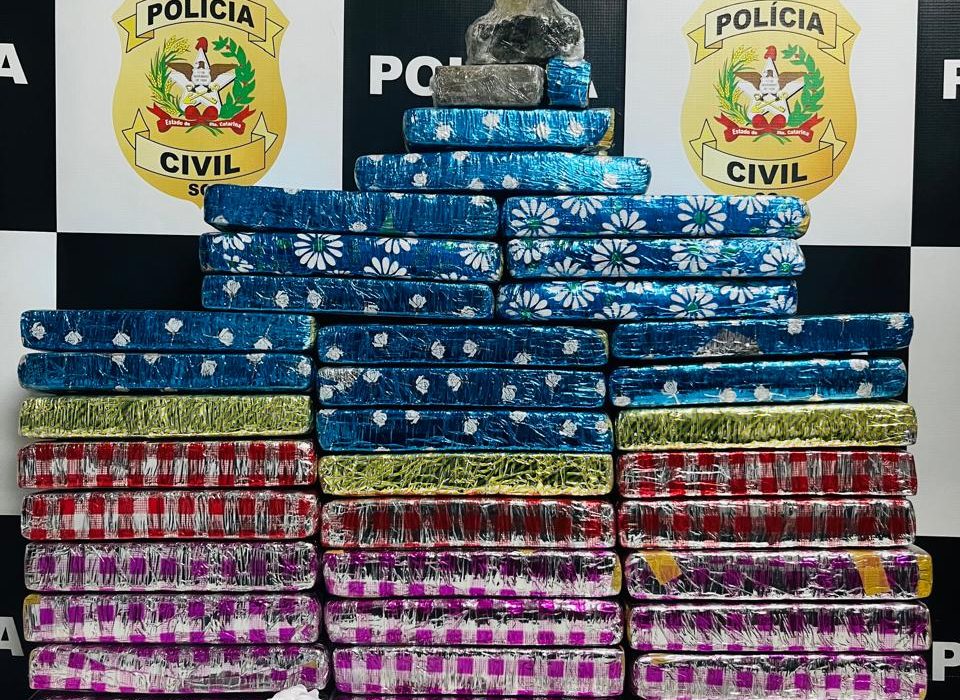 Droga foi localizada em dois imóveis, um homem de 20 anos foi preso em flagrante - Foto Polícia Civil