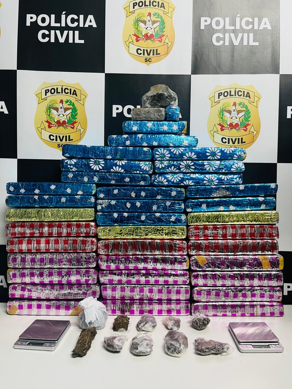 Droga foi localizada em dois imóveis, um homem de 20 anos foi preso em flagrante - Foto Polícia Civil