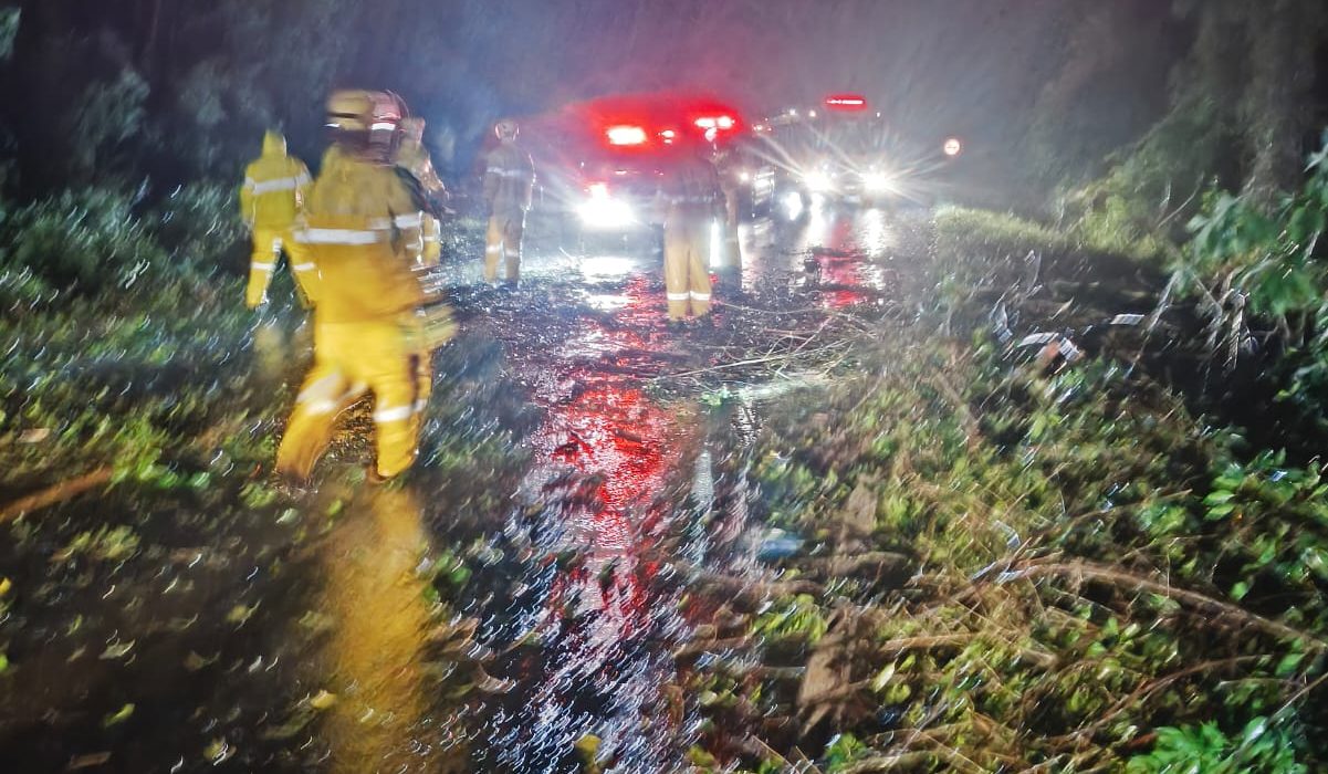 Trabalho de limpeza da pista levou cerca de uma hora - Fotos Corpo de Bombeiros