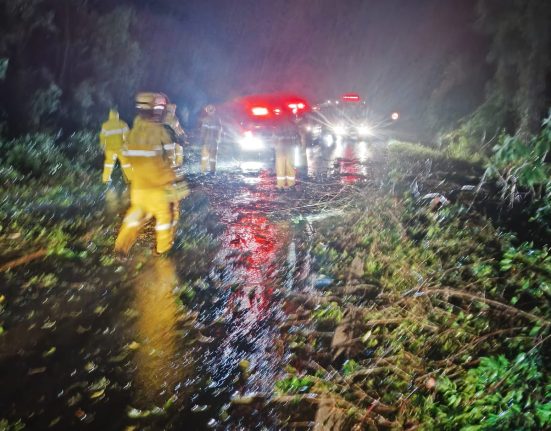 Trabalho de limpeza da pista levou cerca de uma hora - Fotos Corpo de Bombeiros