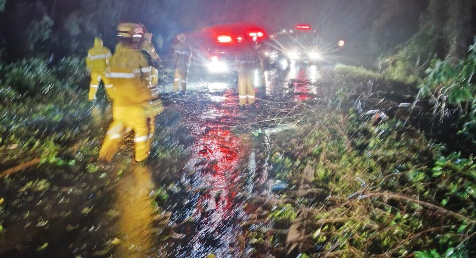 Trabalho de limpeza da pista levou cerca de uma hora - Fotos Corpo de Bombeiros