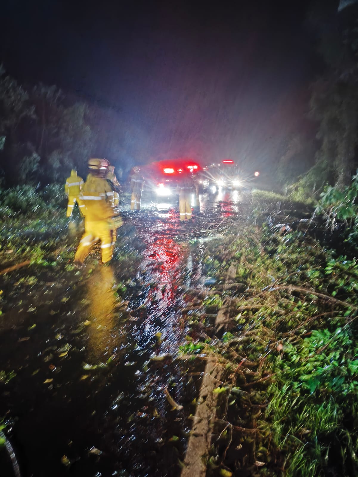 Trabalho de limpeza da pista levou cerca de uma hora - Fotos Corpo de Bombeiros