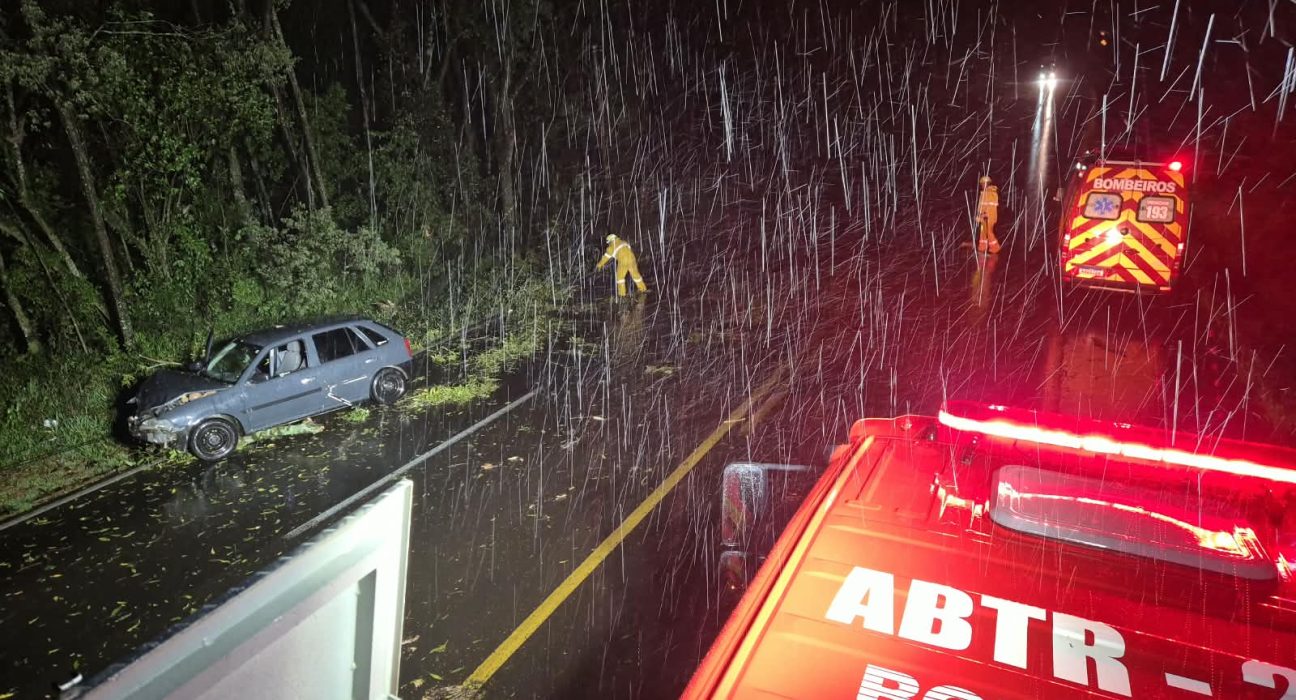 Árvores caíram na BR-282 - Fotos Corpo de Bombeiros