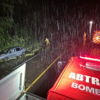 Árvores caíram na BR-282 - Fotos Corpo de Bombeiros