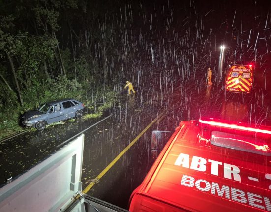 Árvores caíram na BR-282 - Fotos Corpo de Bombeiros