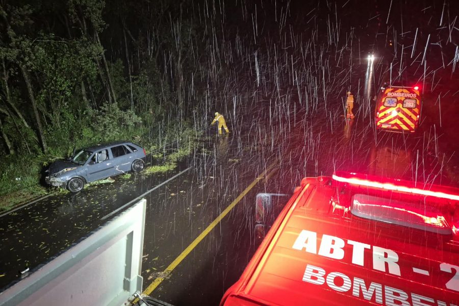 Árvores caíram na BR-282 - Fotos Corpo de Bombeiros