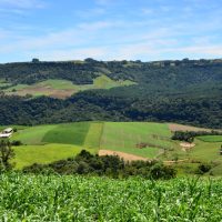 Primeira etapa disponibiliza R$ 21,9 milhões em apoio direto para agricultores e pescadores catarinenses - Foto Aires Mariga Epagri