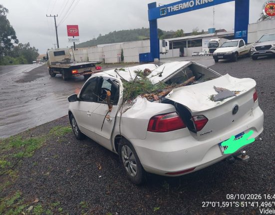 Carro foi atingido por árvore na tarde desta quinta-feira - Fotos Corpo de Bombeiros