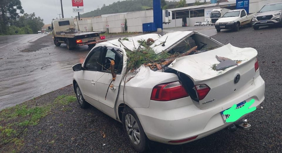 Carro foi atingido por árvore na tarde desta quinta-feira - Fotos Corpo de Bombeiros