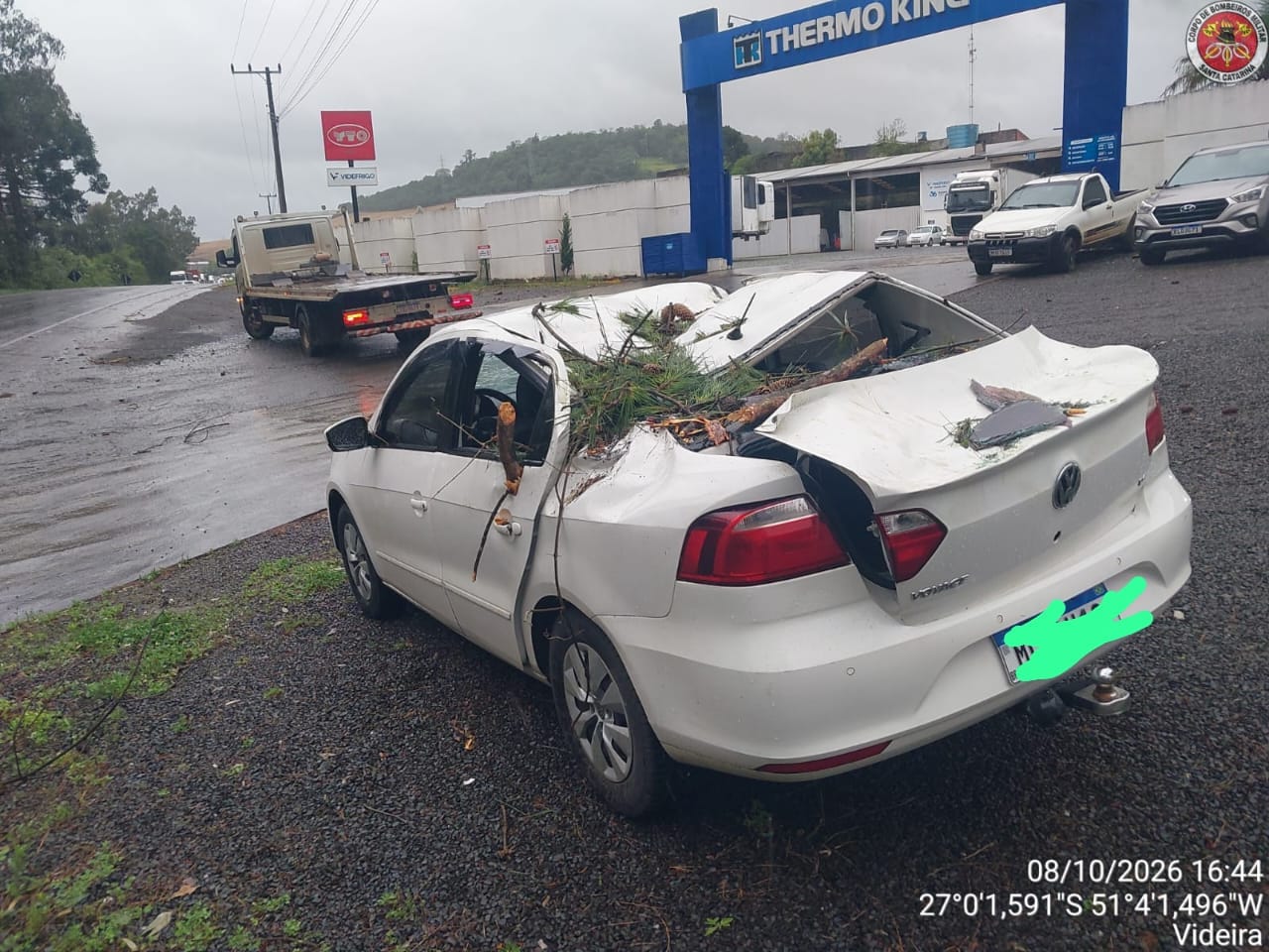 Carro foi atingido por árvore na tarde desta quinta-feira - Fotos Corpo de Bombeiros